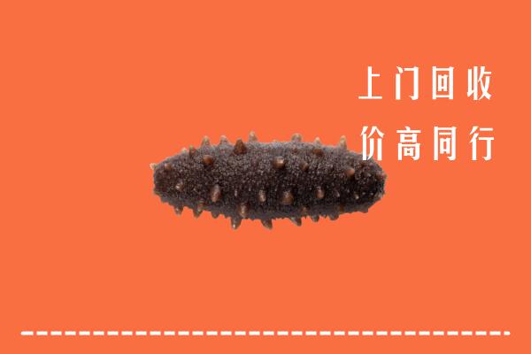 高价求购：青岛市市北回收海参
