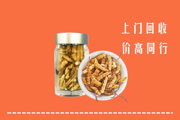 青岛市市北回收冬虫夏草