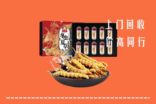 青岛市市北回收虫草